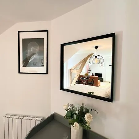 Apartamento /sacré Studio/parking Privé/wifi Rodez