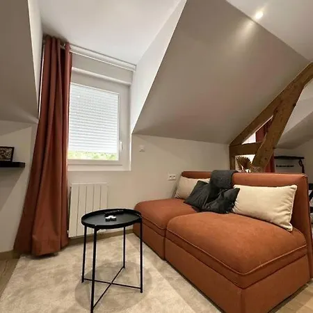 Apartamento /sacré Studio/parking Privé/wifi Rodez